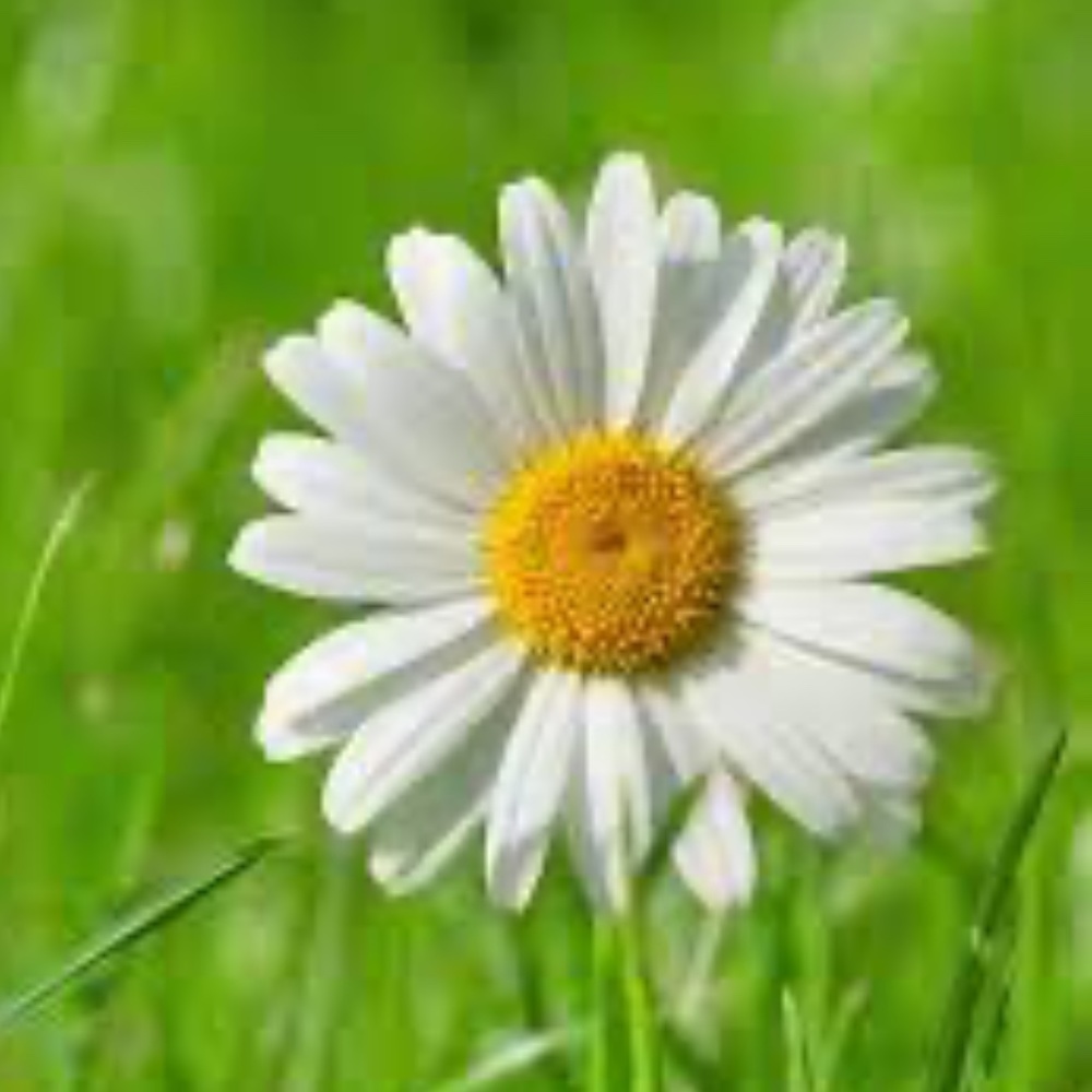 Meet your Posher, Gabriela